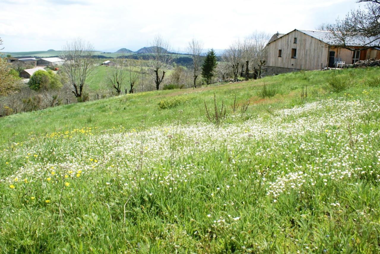 Gites La Boletiere Saint-Étienne-du-Valdonnez 외부 사진